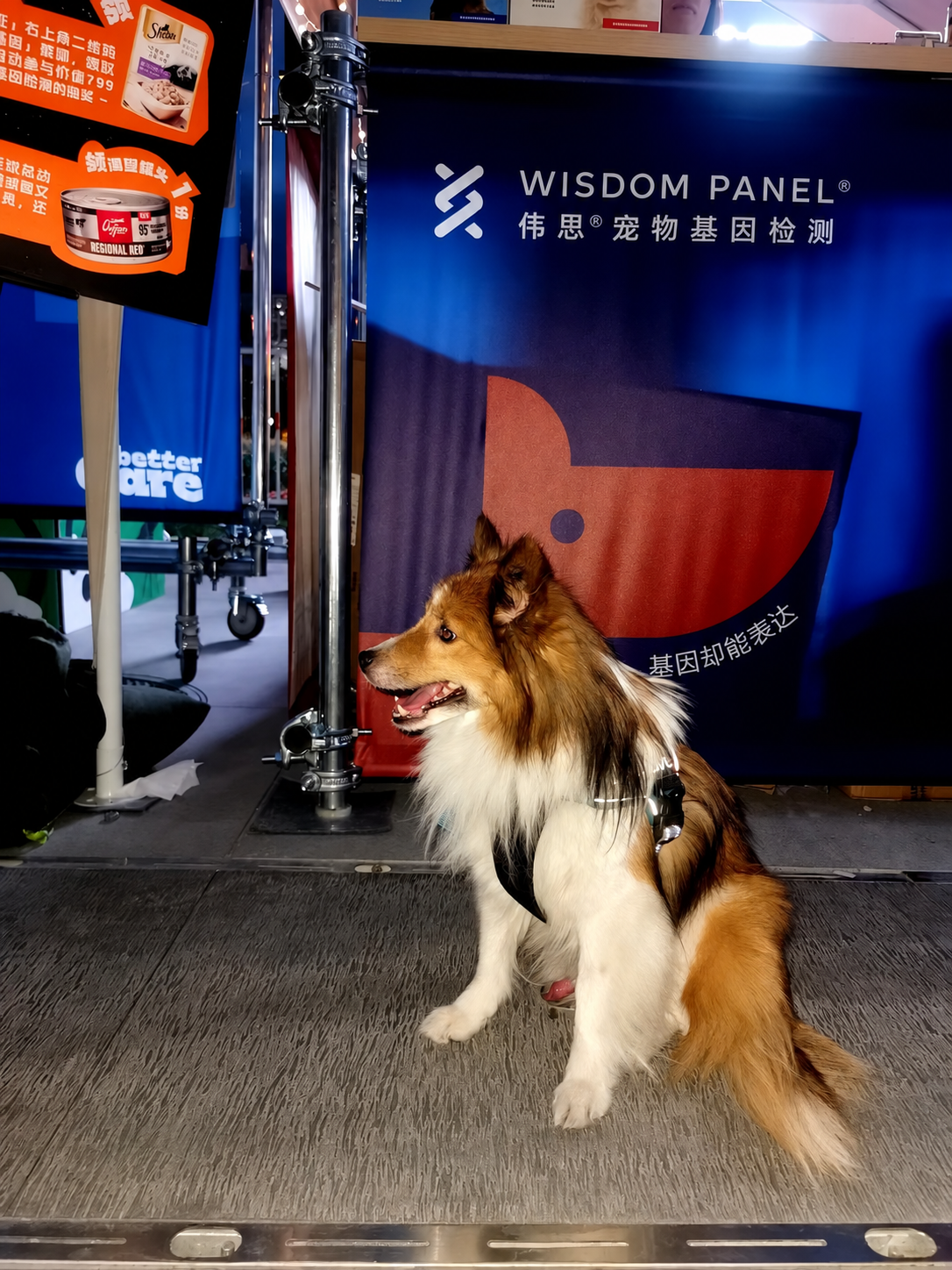 Wisdom Panel pet DNA testing event with a dog and branded display
